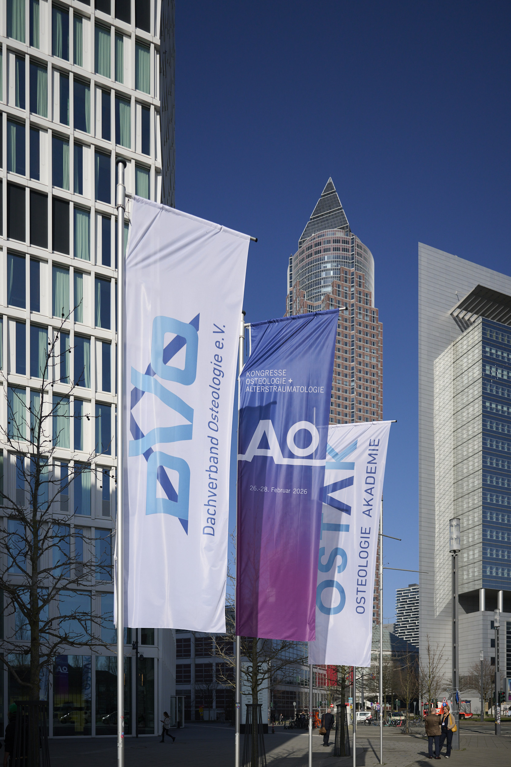 Osteologie_01300 - Kopie